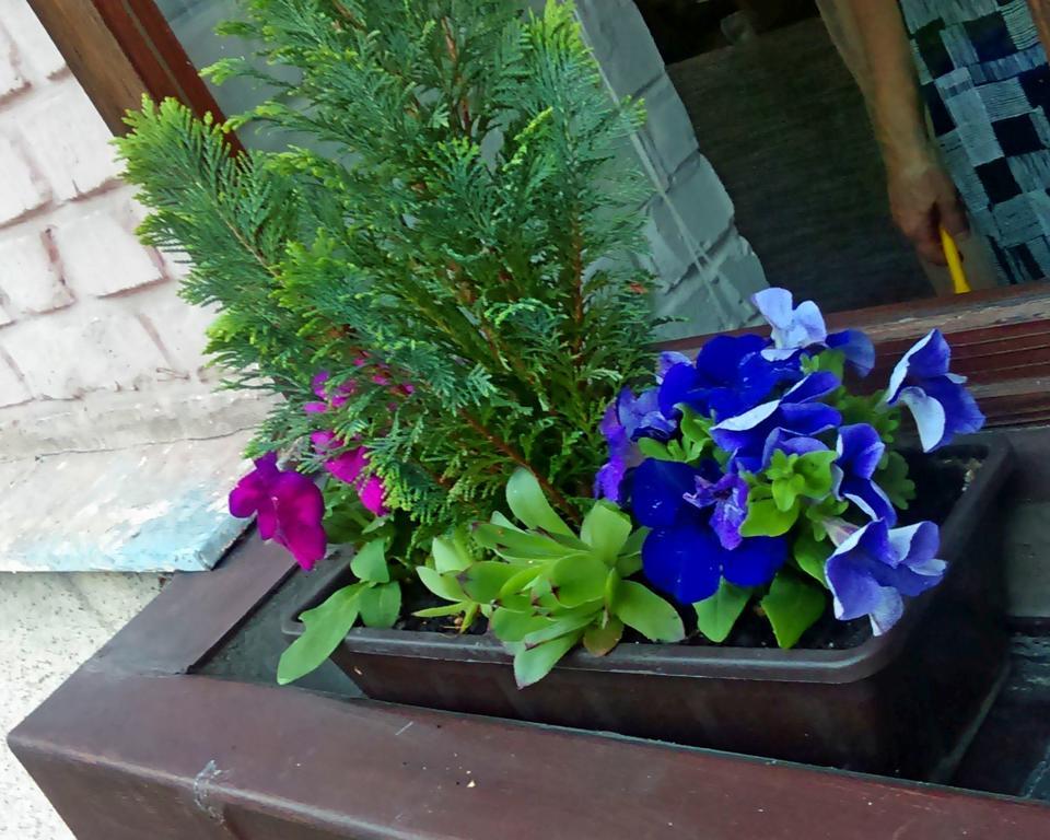 Belvarosi Studio Apartman Győr Buitenkant foto
